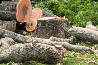 Construction/Handyman - Full Site Cleanup