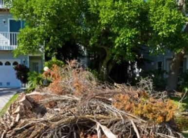 Residential Yard Debris Removal
